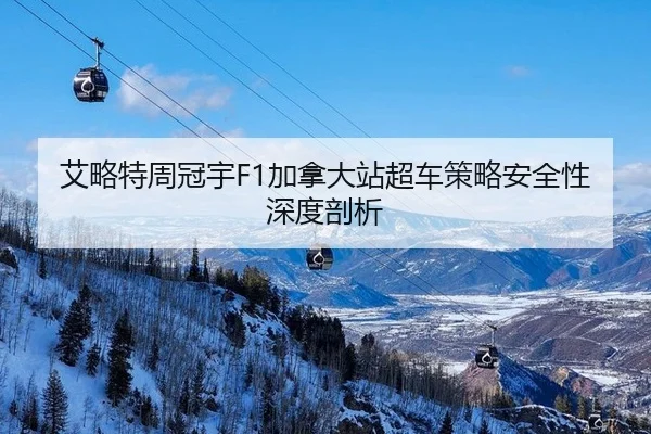 ai-lve-te-zhou-guan-yu-jia-na-da-zhan-chao-che-ce-lve-an-quan-xing-shen-du-pou-xi-3-432.jpg